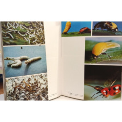Nikkor 1970-71 - Annual