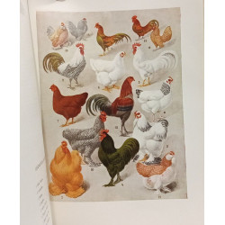 Encyclopédie agricole belge - TOME II