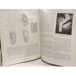 Médecine et chirurgie féline