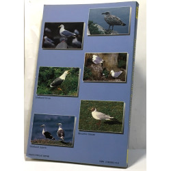 Almanach du marin breton 1994
