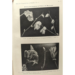 Excursions scientifiques II. Dans le Brabant (extrait de la revue...