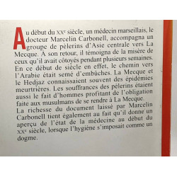 Relation médicale d'un voyage de transport de pèlerins musulmans...