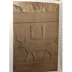 Champollion l'Egyptien