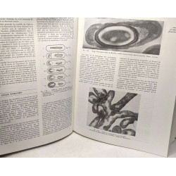 Bactériologie médicale
