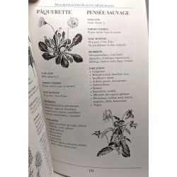 Guérison par les plantes