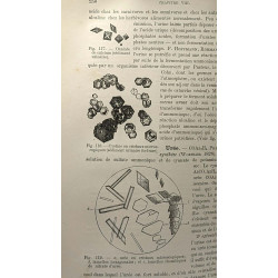 Éléments de physiologie humaine à l'usage des étudiants en...