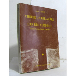 Choisir un bel arbre cap des tempêtes