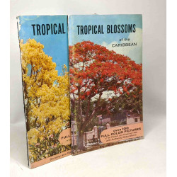 Tropical blossoms of the Caribbean + Tropical trees found in the...