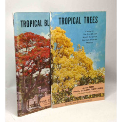 Tropical blossoms of the Caribbean + Tropical trees found in the...