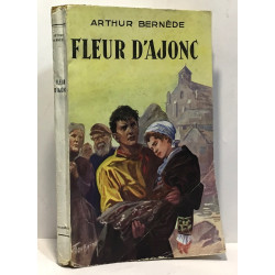 Fleur d'ajonc