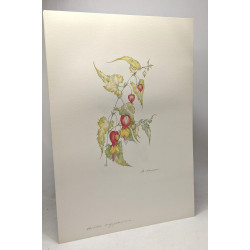 Les serres Royales de Laeken - huit planches de Margot Weemaes...