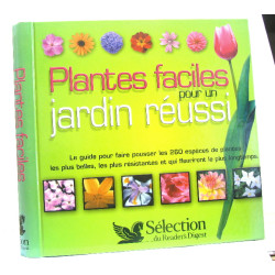 Plantes faciles pour un jardin réussi