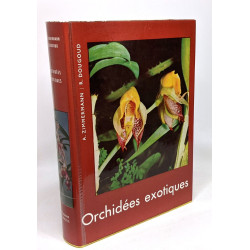 Orcidées exotiques
