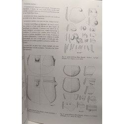 Archéologie en Languedoc - revue n°21 - actes du Colloque "Mines...