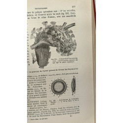 Cours élémentaire de Zoologie - dixième édition revue - 765...