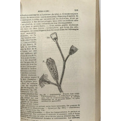 Cours élémentaire de Zoologie - dixième édition revue - 765...