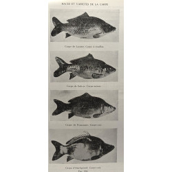 Traité de pisciculture - 3e édition