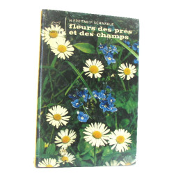 Fleurs des prés et des champs