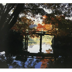 Jardin japonais