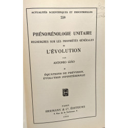 Phénoménologie unitaire - recherches sur les propriétés générales...