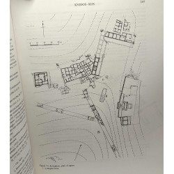 The Architectural Developemnt of the Greek Stoa / Oxford...