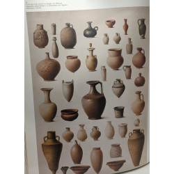 Mémoires d'égypte / hommage de l'Europe à Champollion /...