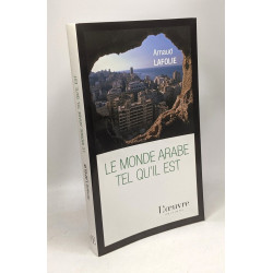 Le monde arabe tel qu'il est