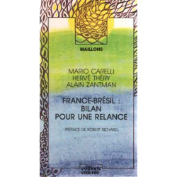 France-Brésil : bilan pour une relance