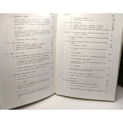 Nueva sintaxis griego antiguo