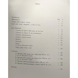 Vulci - Scavi Bendinelli (1919-1923) collana di studi sull'Italia...