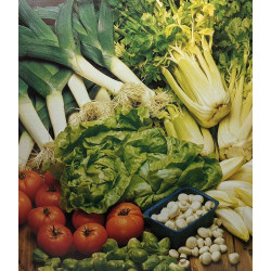 L'agriculture en Belgique - hier et aujourd'hui