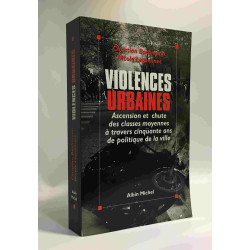 Violences urbaines. Ascencion et chute des classes moyennes à...