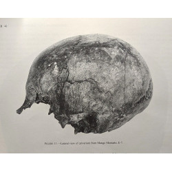 Skeletal biology of Human Remains from La Tolita Esmeraldas...