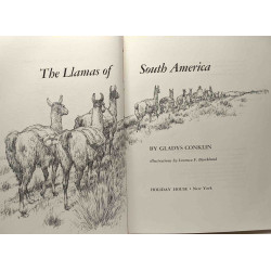 The Llamas of South America - illustrations by Lorence F. Bjorklund