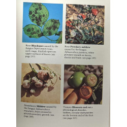 A. to Z. of Garden Pests and Problems