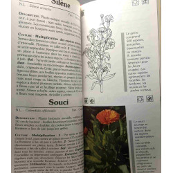 Fleurs séchées (édition 1991)