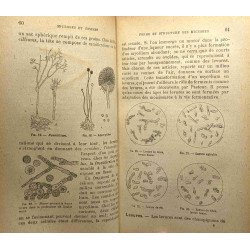 Microbes et toxines avec une introduction de Elie Metchnikoff -...