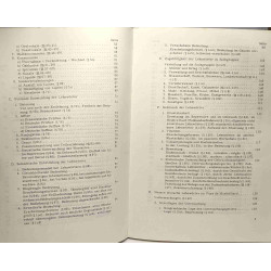 Entlehnung und lehnwortgebrauch - Idiomatica Band 3