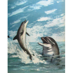 Petit poisson deviendra grand