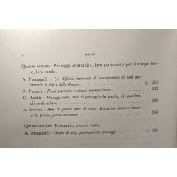 Studi geografici sul paesaggio - istituto digeografia umana -...