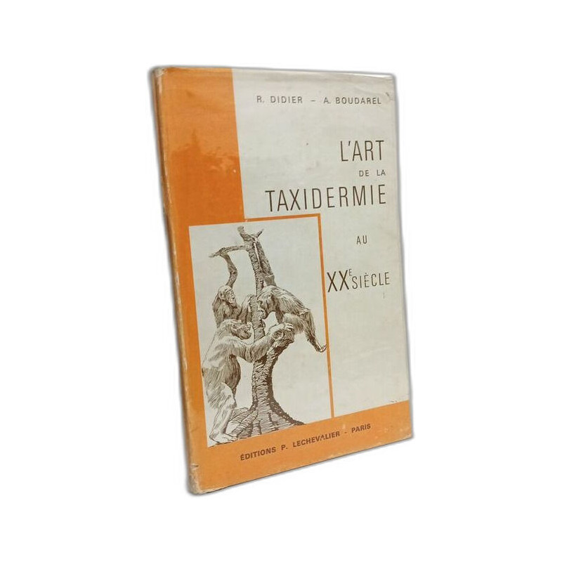 L'art d la taxidermie au XXe siècle