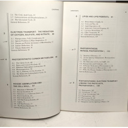 Biochemistry of Green Plants (Foundations of Modern Biochemistry)