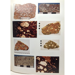 Excavations at Carthage 1976 conducted by the university of...