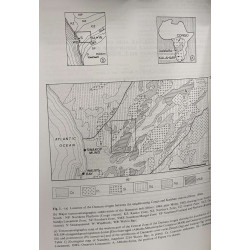Rapport annuel département géologie et minéralogie - 1993 et 1994...