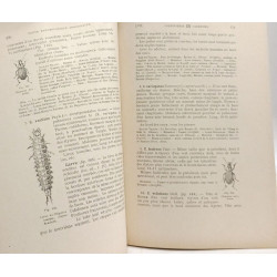 Faune entomologique armoricaine - TOME I 3e partie