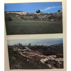 La civita di Artena: scavi belgi (1979-1989)