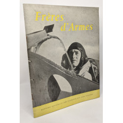 Frères d'armes - histoire officielle des aviations des pays occupés