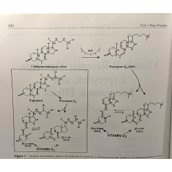 Principles of Bone Biology