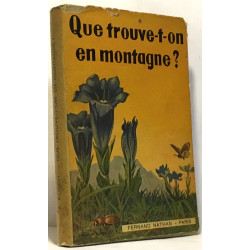 Que trouve-t-on en montagne