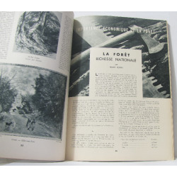 La forêt